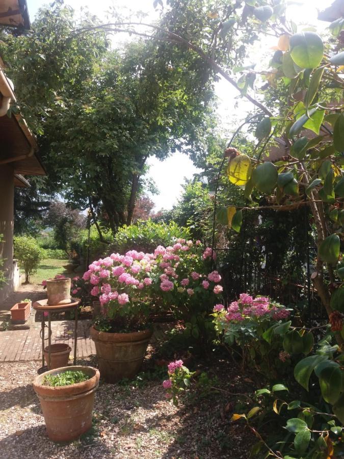 Lupo Azzurro Bed & Breakfast Siena Exterior photo